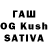 Галлюциногенные грибы Psilocybine cubensis MYOB =
